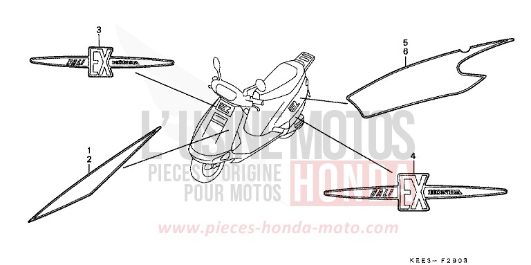 MARKE (4) von CB1300 Super Bold'or ABS PEARL CONIFER GREEN (G161) von 1999